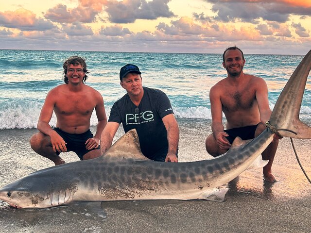 Listing image 937402