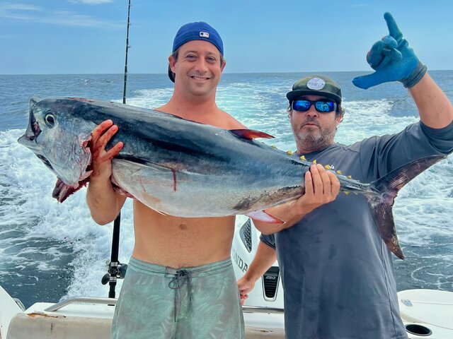 Listing image 922084