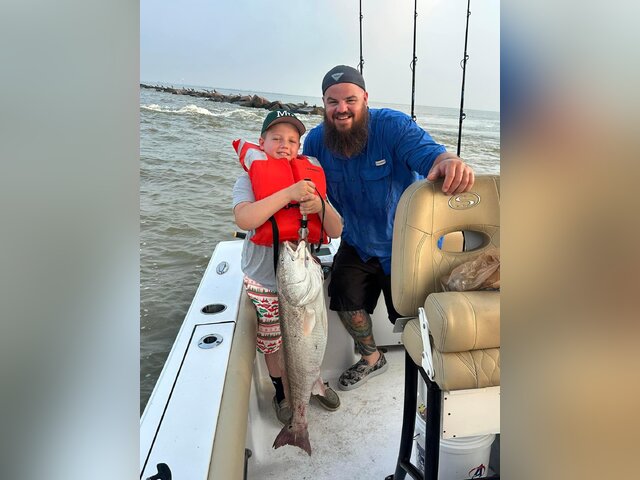 Listing image 1040395