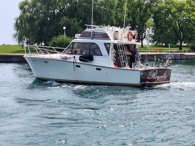 Listing image 1168729