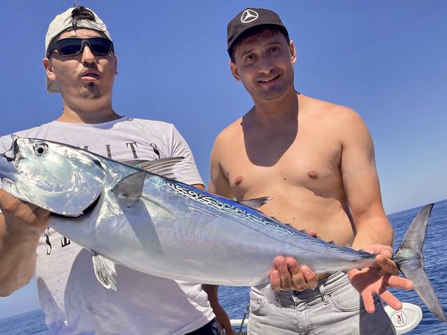 Listing image 922937