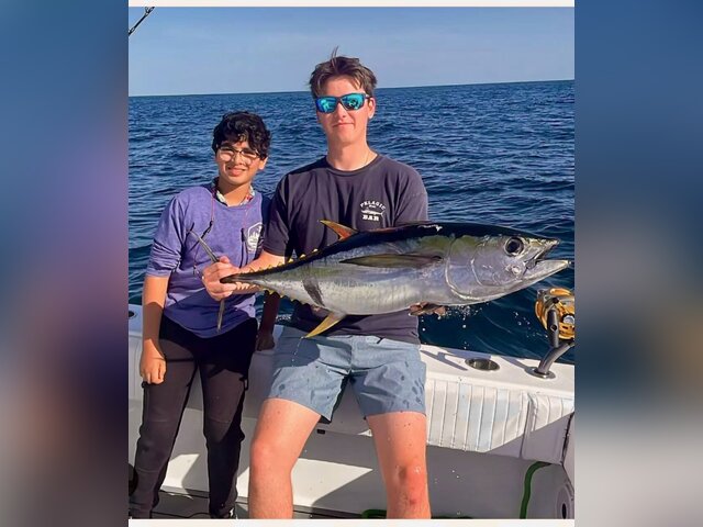 Listing image 923317