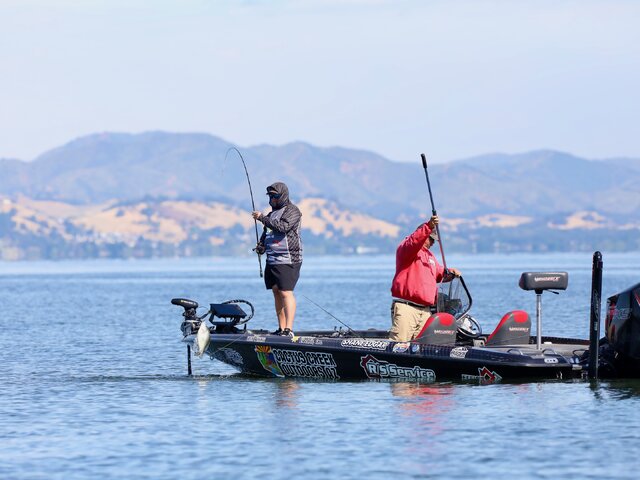 Listing image 924841