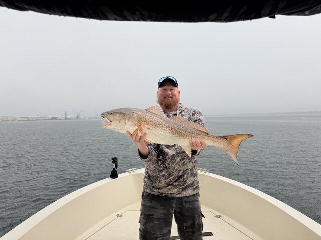 Listing image 1315426