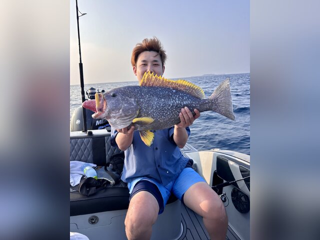 Listing image 1313295