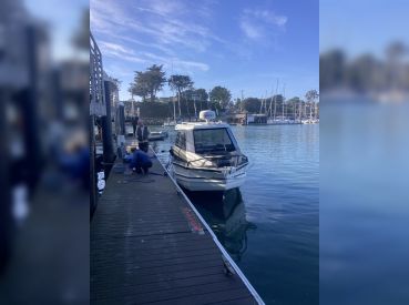 The Big Anchovy thumbnail