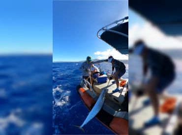 V.I.P.-5 STAR-Family Friendly- # 1 thumbnail