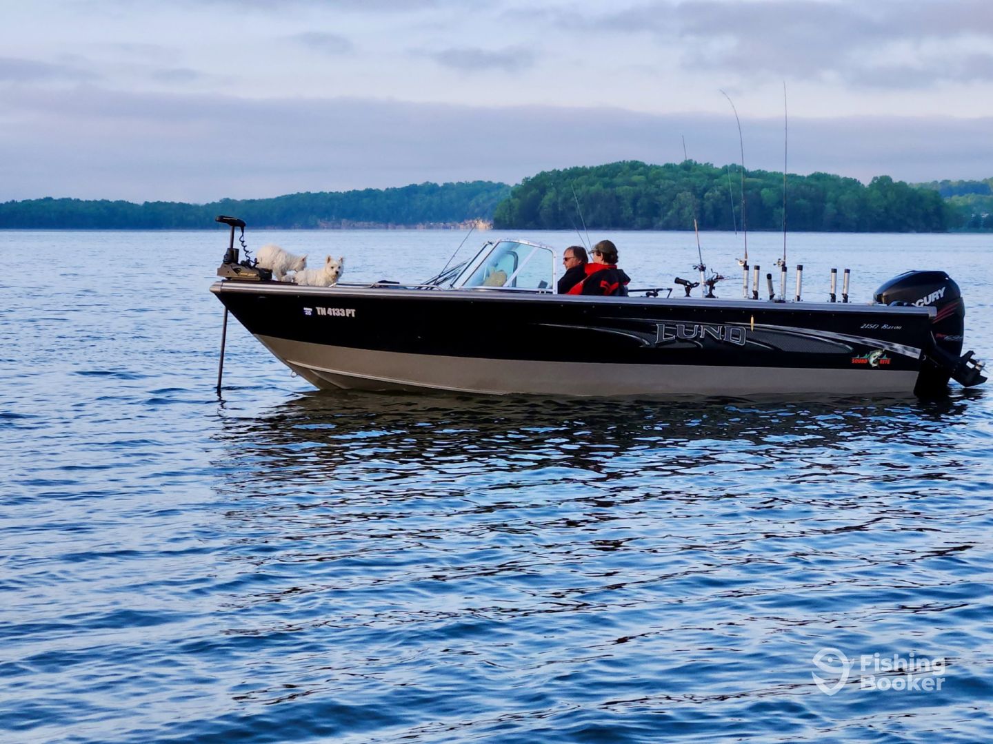 Boat image