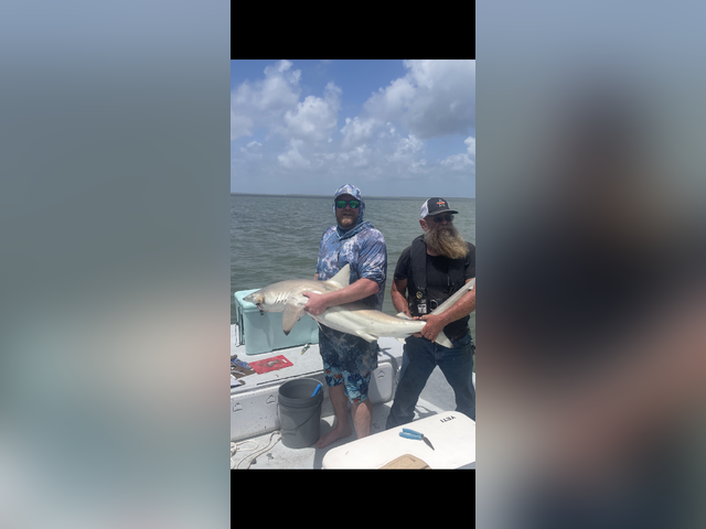 Listing image 1208786