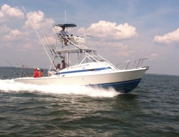Charter Image