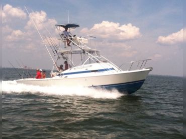 SYL Charters thumbnail