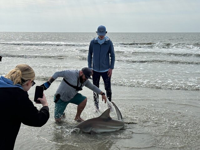 Listing image 1029946