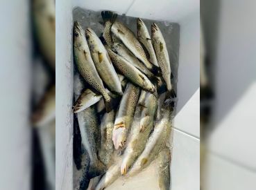 SaltyFrog Fishing Charters thumbnail