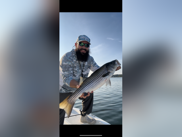 Listing image 932789