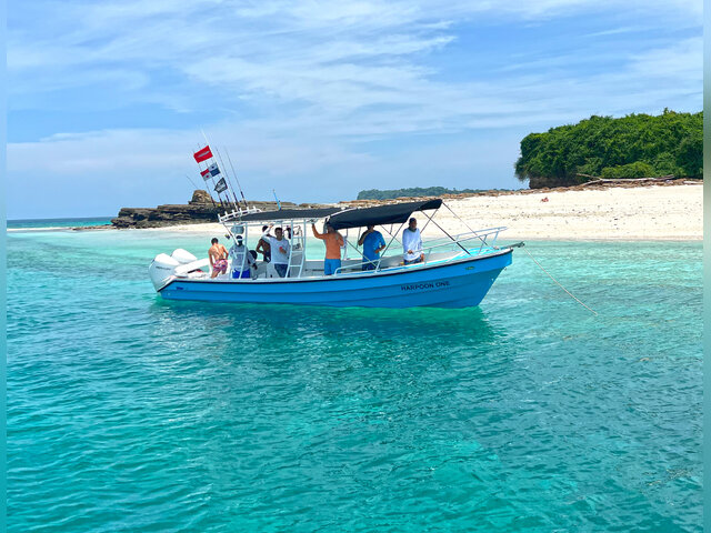 Listing image 934076