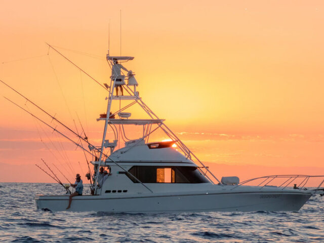 Listing image 981772