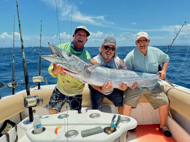 Listing image 934900