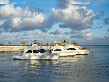 Fishing Machine Punta Cana thumbnail