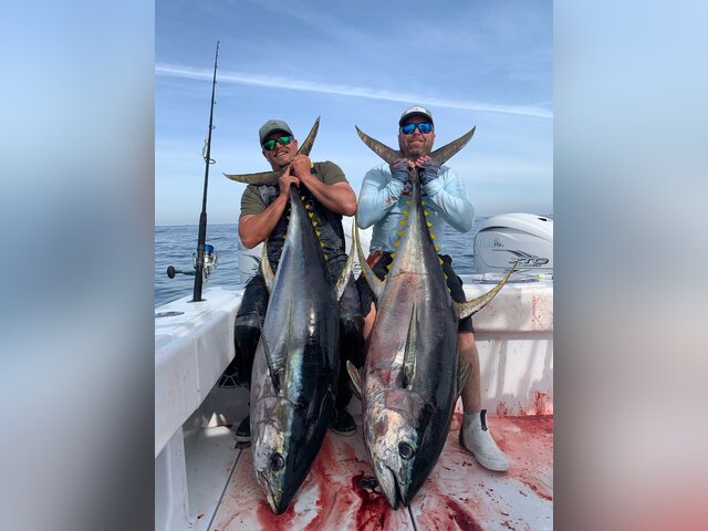 Listing image 1184707