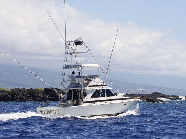 Listing image 1333662