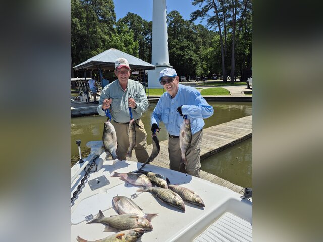 Listing image 1209051