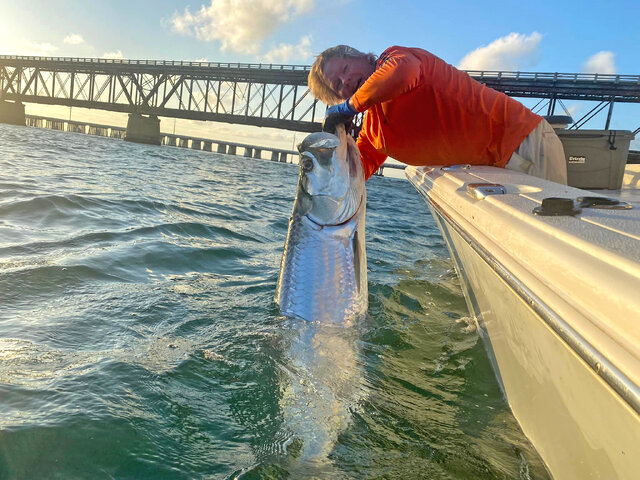 Listing image 940906