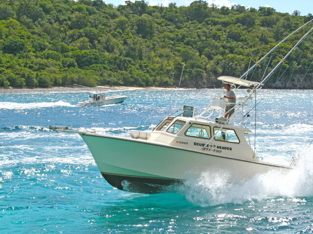 Listing image 939927