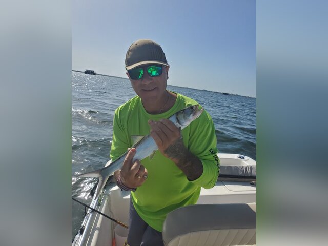 Listing image 940043