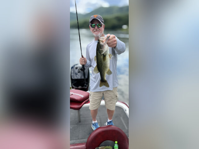 Listing image 941072