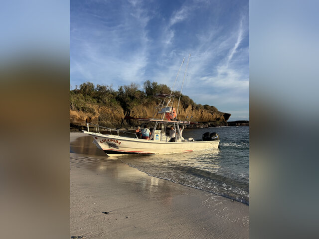 Listing image 1277202