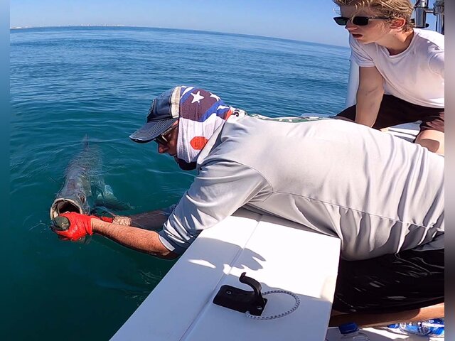 Listing image 943797