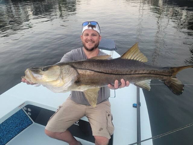 Listing image 944036