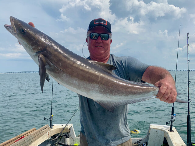 Listing image 1134715