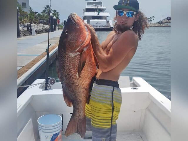 Listing image 947065