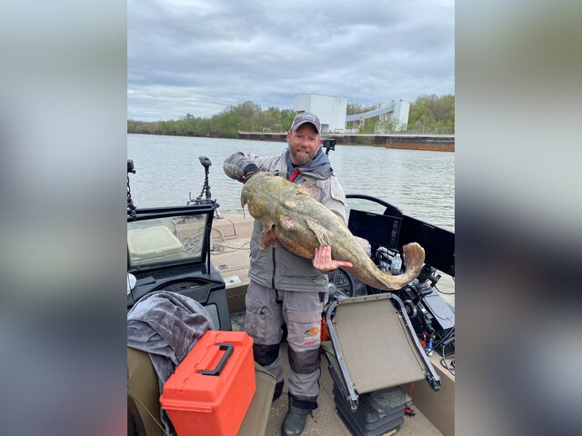 Listing image 944674