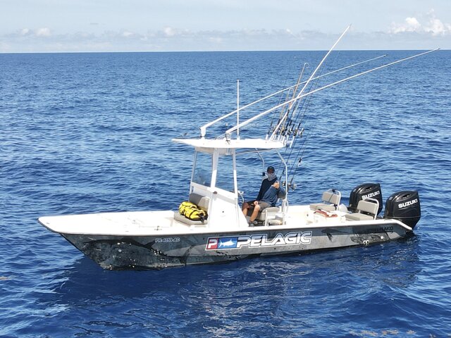 Listing image 945684