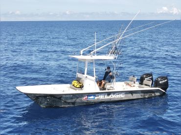 Extreme Fishing Puerto Rico thumbnail