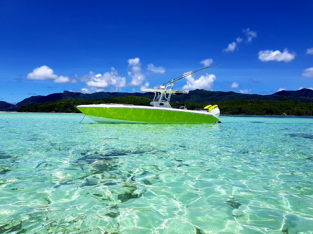 Listing image 989345