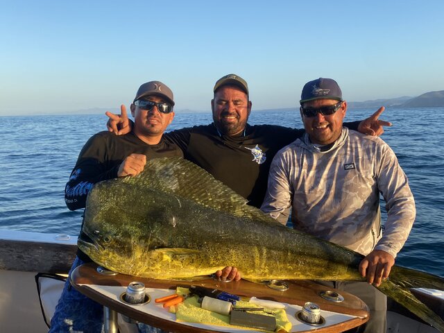 Listing image 994173