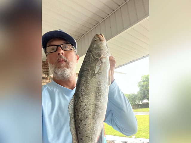 Listing image 947947