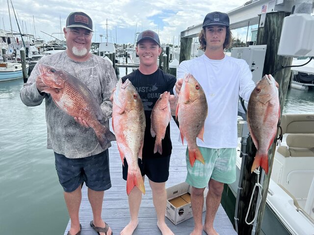 Listing image 999847