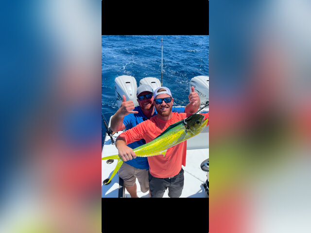 Listing image 1141920