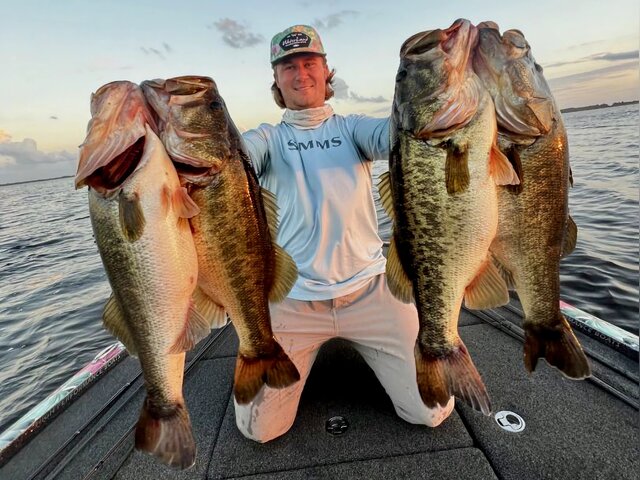 Listing image 989399