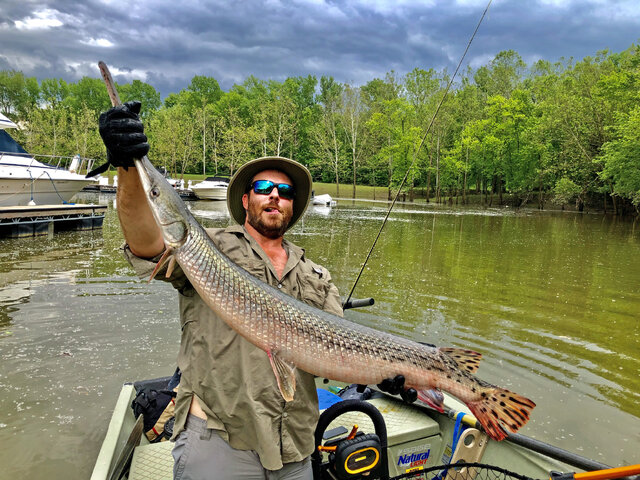 Listing image 950229