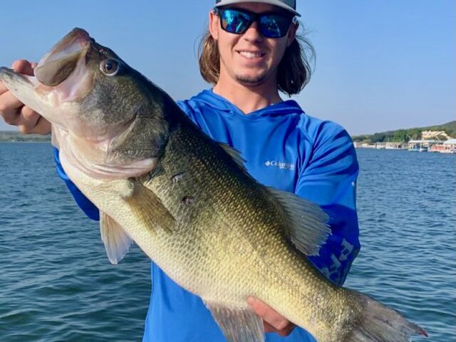 Listing image 955073