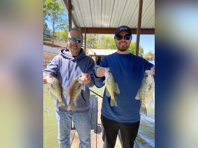 Listing image 952923