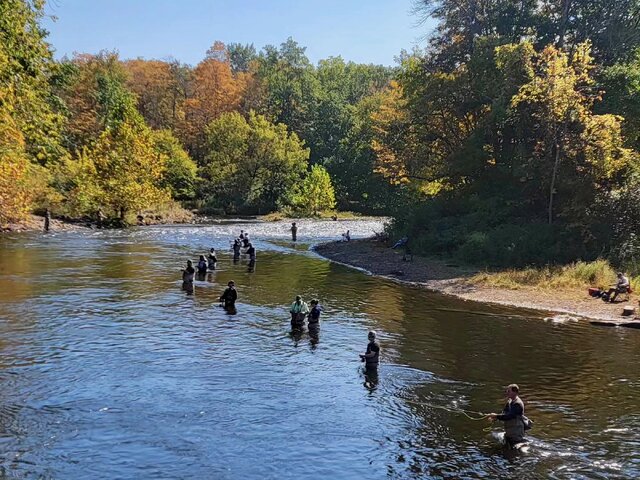 Listing image 1060729