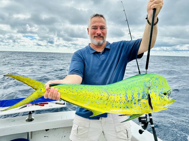 Listing image 1034158