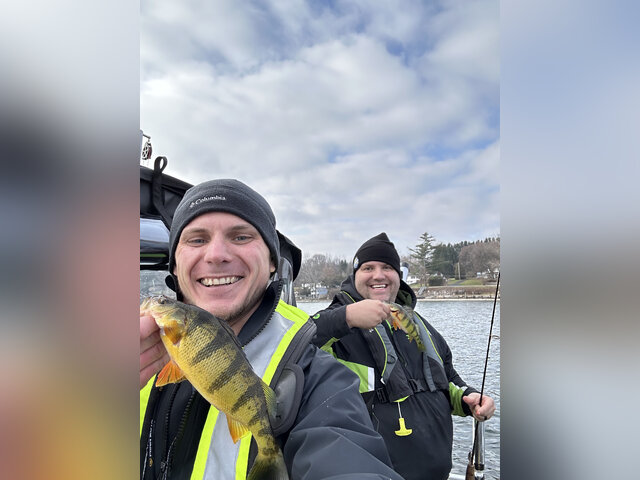 Listing image 964220