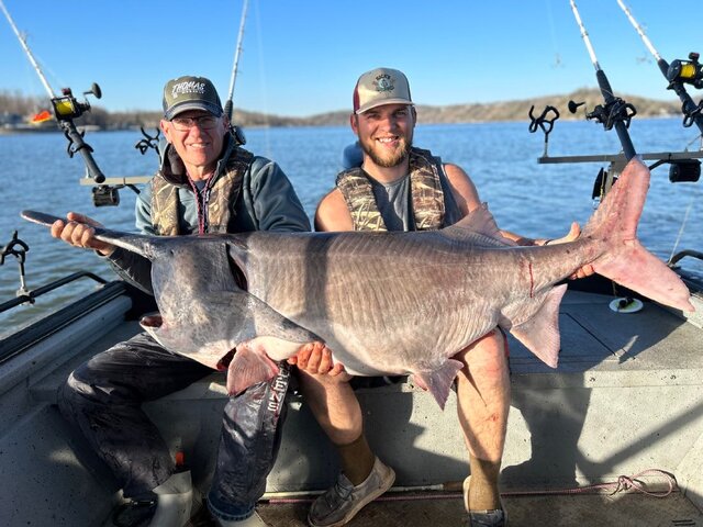 Listing image 959248